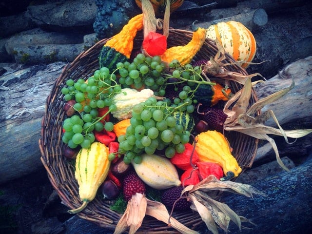 A basket of fruits