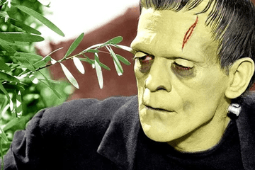 elections and Frankenstein 