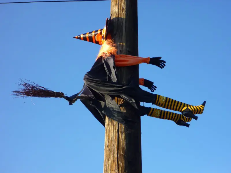 A picture of a witch dummy stuck on a tree bark