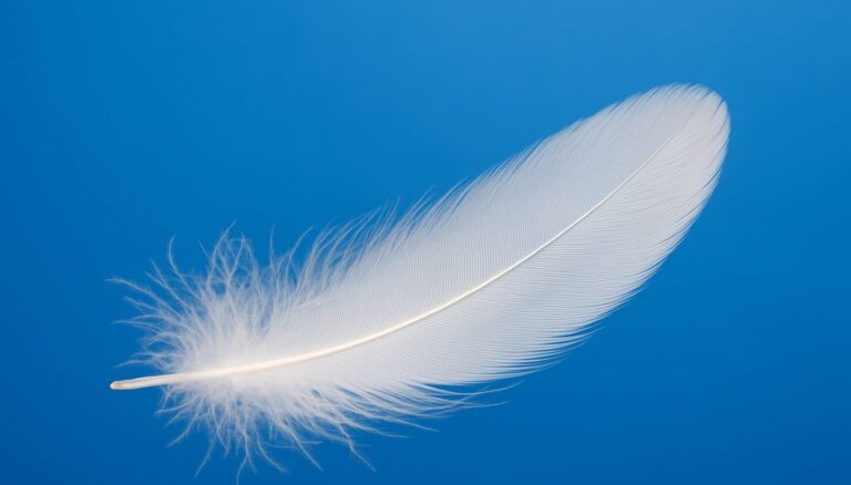 A single white feather floats against a vibrant blue background, symbolizing quiet strength and resilience, reflecting how to build self worth.