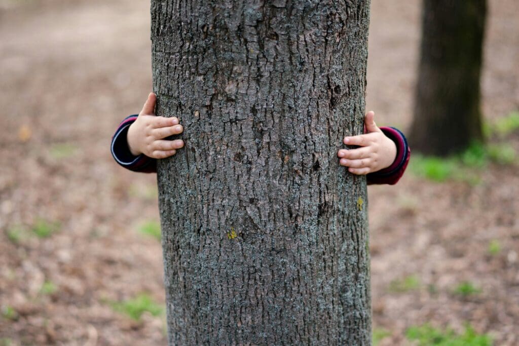 Still Playing Hide-and-Seek